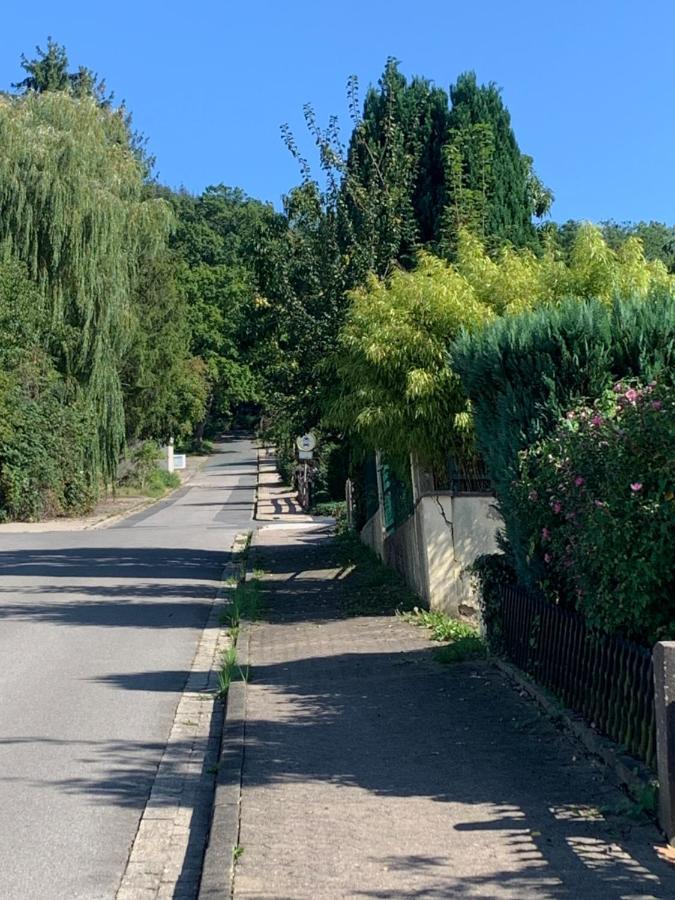 Appartamento Haus Erdmaennchen Bodenwerder Esterno foto